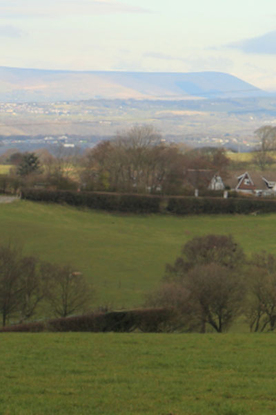 Lovely hilly scene with houses in the center